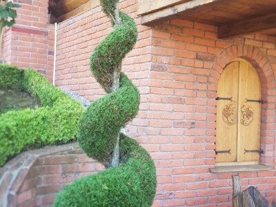 Topiary Bonsai Niwaki Vrtno Ukrasno Drvce Vrtna Arhitektura Pompon Spirala Topiari Japanska Skulptura Životinje