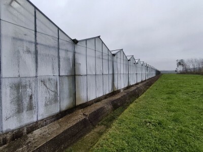 Staklenici najam ili prodaja