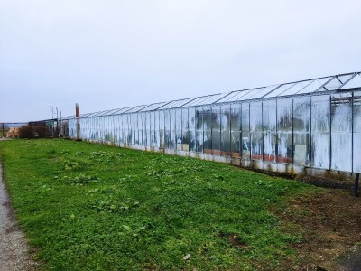 Staklenici najam ili prodaja