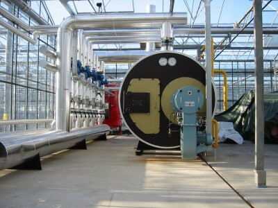 staklenici   plastenici