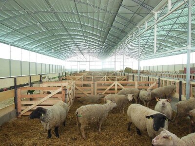 staklenici   plastenici