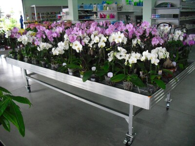 Izgradnja staklenika i opreme