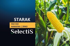 STARAK - SelectiS hibrid kukuruza