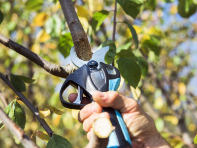 Campagnola akumulatorske škare Stark L