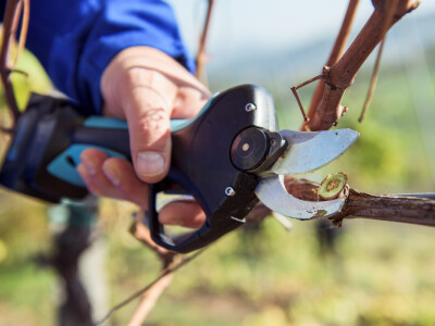 Campagnola akumulatorske škare Stark M