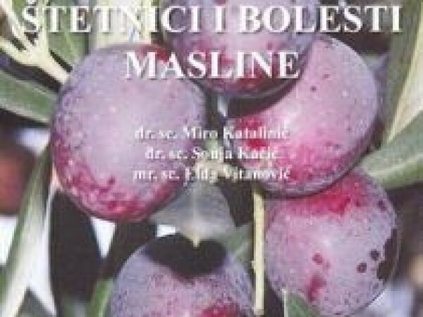 Štetnici i bolesti masline