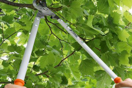 Stihl Bypass PB 30 robusne voćarske škare za grane