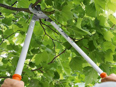 Stihl Bypass PB 30 robusne voćarske škare za grane