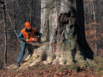 Stihl MS 880