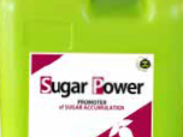 Sugar Power