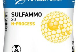 SULFAMMO N30 N-Process