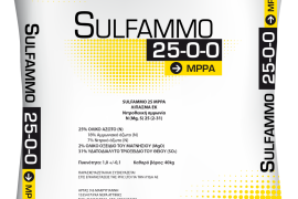SULFAMMO 25 MPPA
