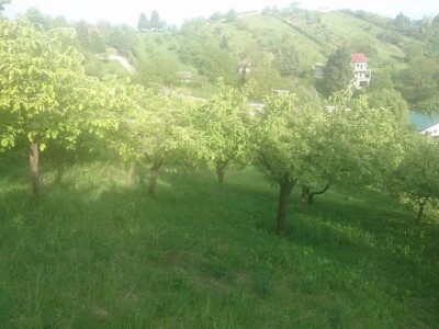 Sveta Nedelja/Jagnjić Dol, poljoprivredno zemljište, 1044 m2