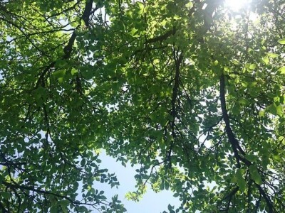 Sveta Nedelja/Jagnjić Dol, poljoprivredno zemljište, 1044 m2