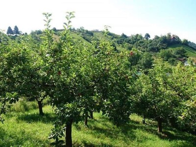 Sveta Nedelja/Jagnjić Dol, poljoprivredno zemljište, 1044 m2
