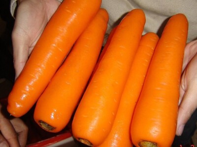 Svježe mrkve