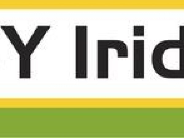 SY Iridium - hibrid kukuruza