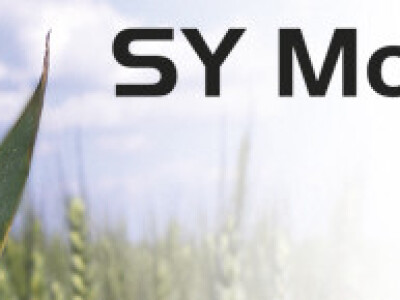 Sy Moisson - pšenica