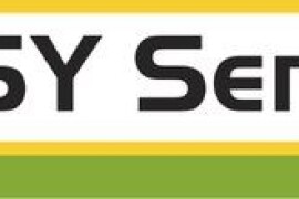 SY Senko - hibrid kukuruza