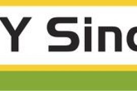 SY Sincero - hibrid kukruuza