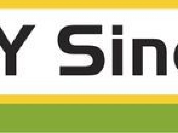 SY Sincero - hibrid kukruuza