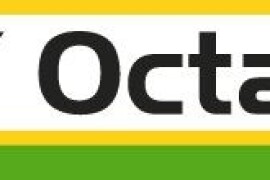 SY Octavius - hibrid kukuruza