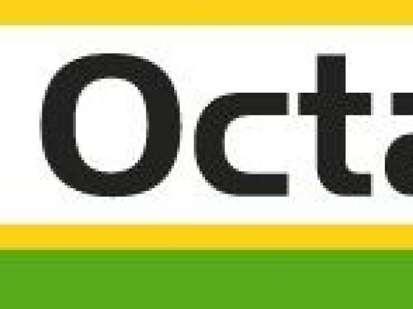 SY Octavius - hibrid kukuruza