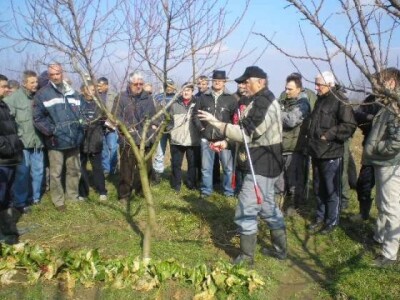 Program osposobljavanja za poslove voćara - šljivara