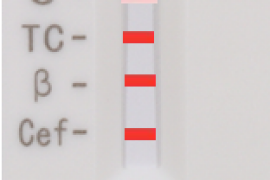 Test za otkrivanje antibiotika u mlijeku