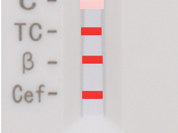 Test za otkrivanje antibiotika u mlijeku