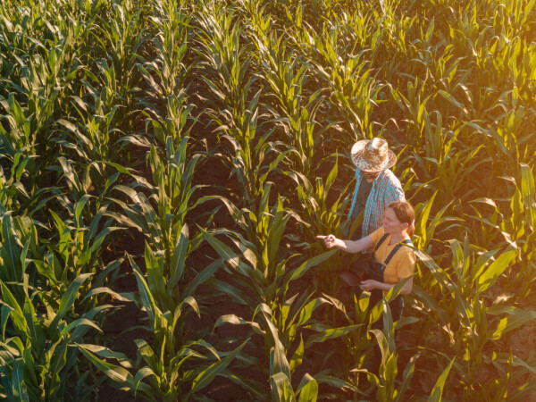 Timac Agro zapošljava! Postani prodajni savjetnik u poljoprivredi