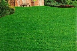 Travna smjesa Opatija 1 kg