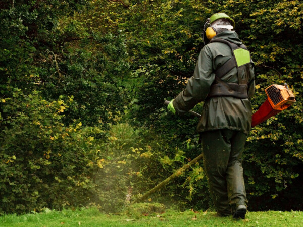 Program osposobljavanja za rukovatelja trimerom