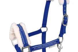 Ular Elegant Waldhausen