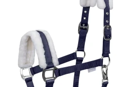 Ular First Waldhausen