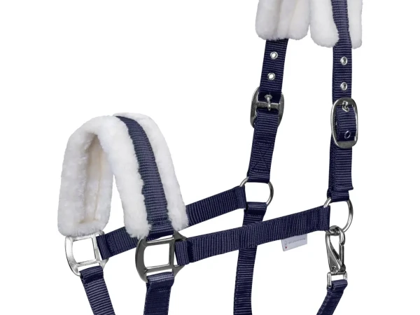 Ular First Waldhausen