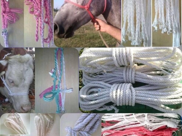 Ulari za krave i konje