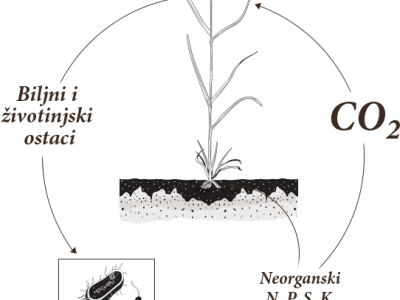 Uniker - za razlaganje žetvenih ostataka, kompostiranje