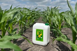 Biofor BioP - efikasna ishrana biljaka fosforom