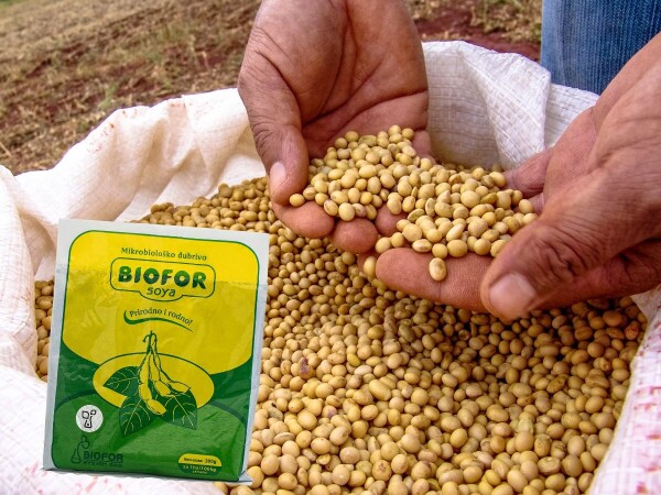 Biofor Soya - inokulant za tretman semena soje