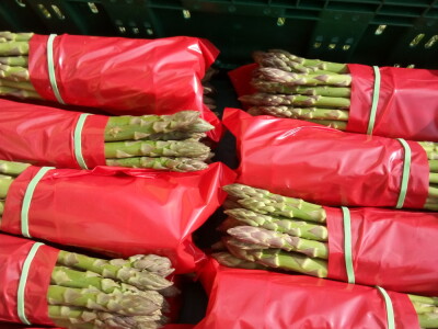 Ekološka zelena šparoga