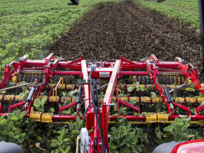 Vaderstad Carrier - kratka tanjirača