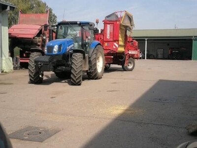 Vadjenje i sakupljanje luka i krompira