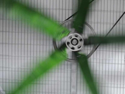 Ventilacija - Ventilatori za farme krava THI indeks