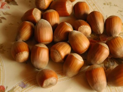 Trogodisnje i dvogodisnje vocne sadnice već od 150 din