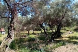 Herceg Novi, građevinski placevi na 1.7 km od centra