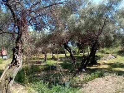 Herceg Novi, građevinski placevi na 1.7 km od centra