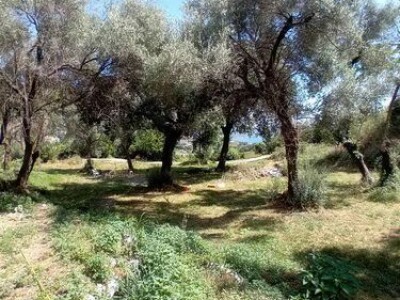 Herceg Novi, građevinski placevi na 1.7 km od centra