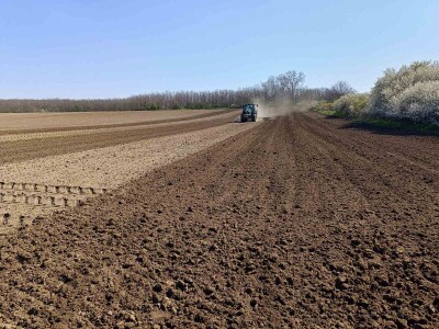 Sjetvospremač, sa hidrauličkim sklapanjem, radni zahvat 6.00, četiri reda opruga, S/R opruga