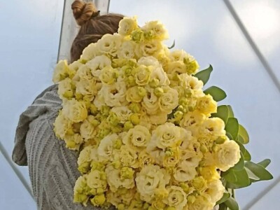 Lizijantus prodaja rezani cvet